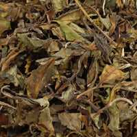 Tè bianco