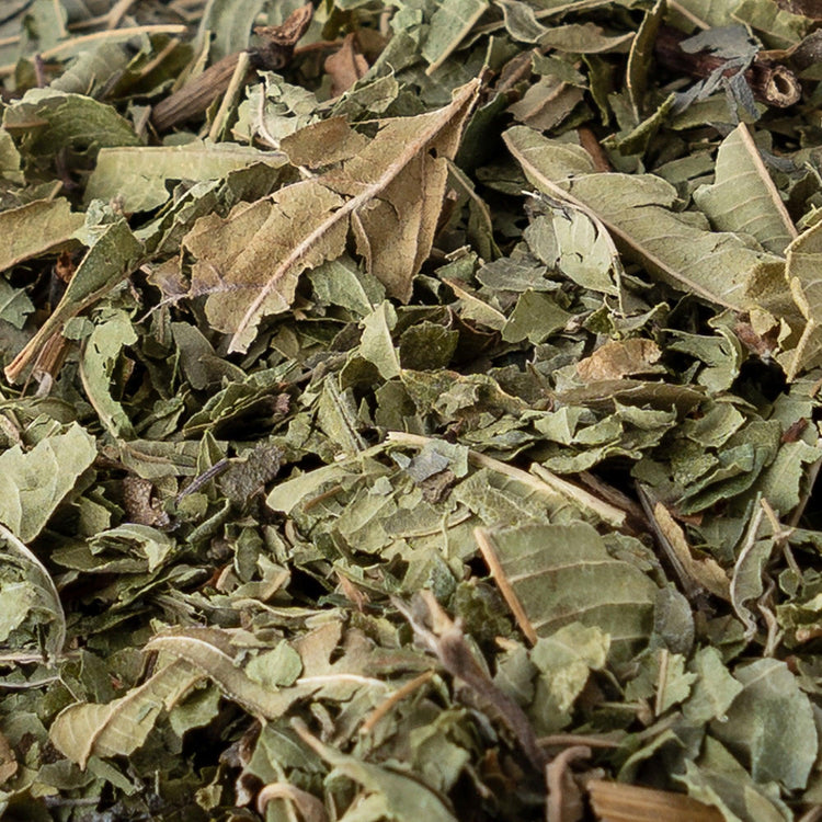 Tè di verbena
