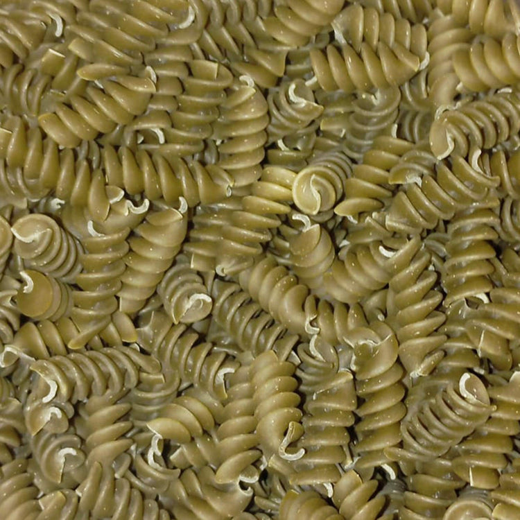 Makaron fusilli ze szpinakiem - Casca Rija