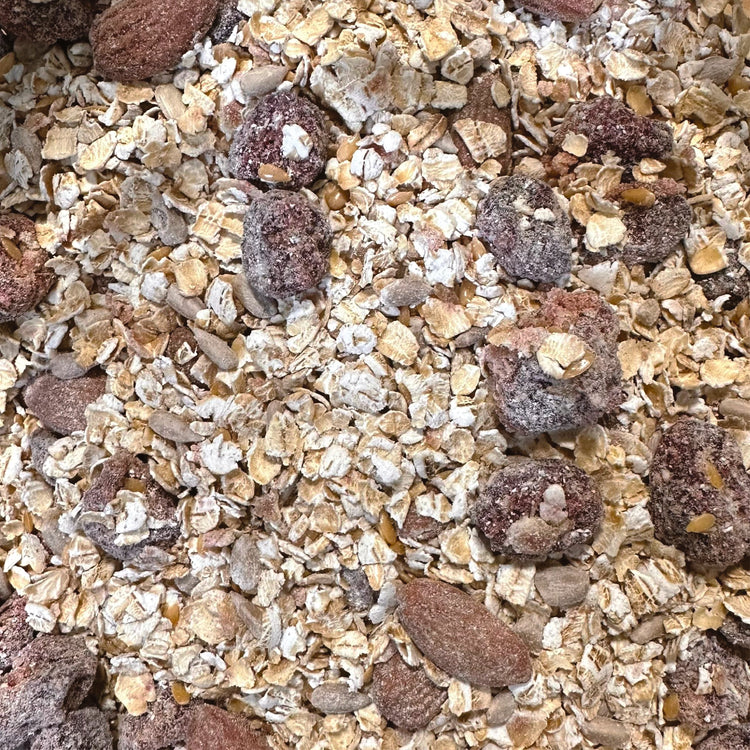 Muesli met gedroogde rode veenbessen, glutenvrij