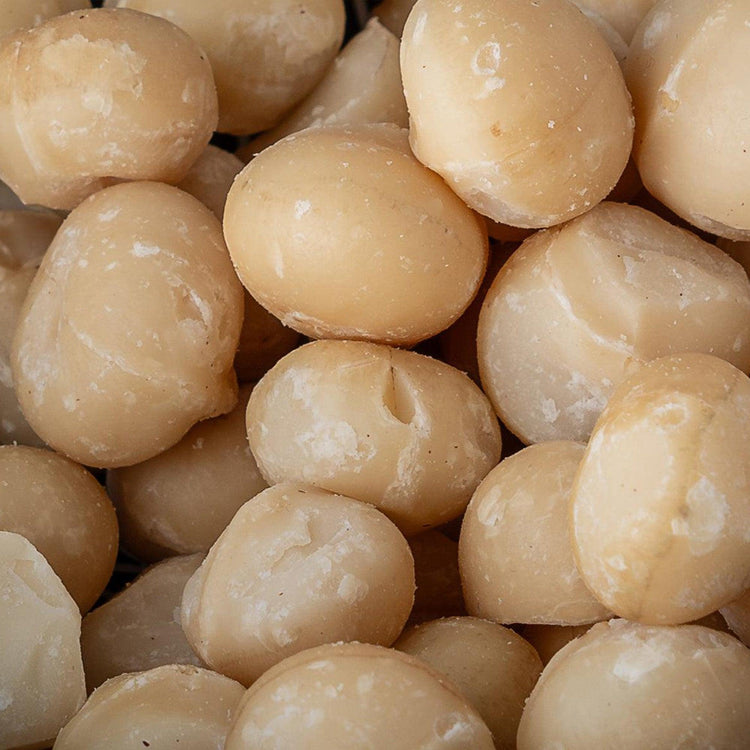 Noce di macadamia