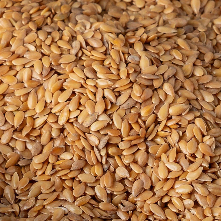 Semi di lino dorati