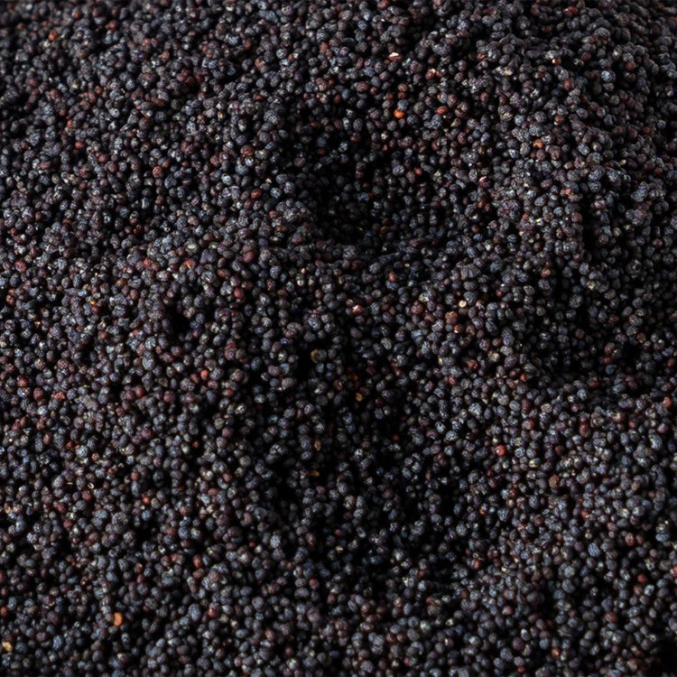 Semi di papavero