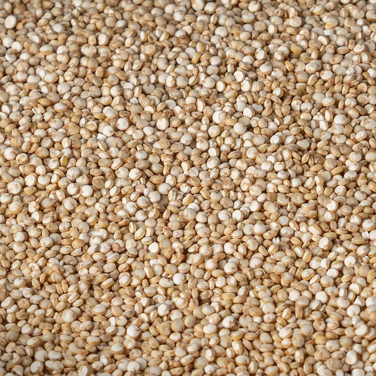 Semi di quinoa bianca