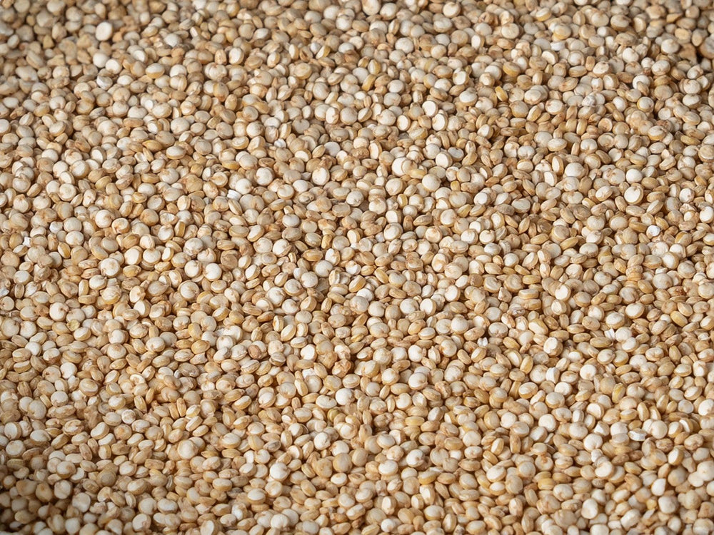 Sementes de Quinoa Brancas - Casca Rija
