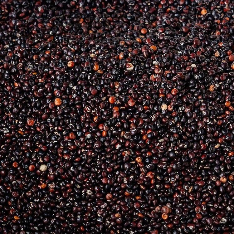 Semi di quinoa nera