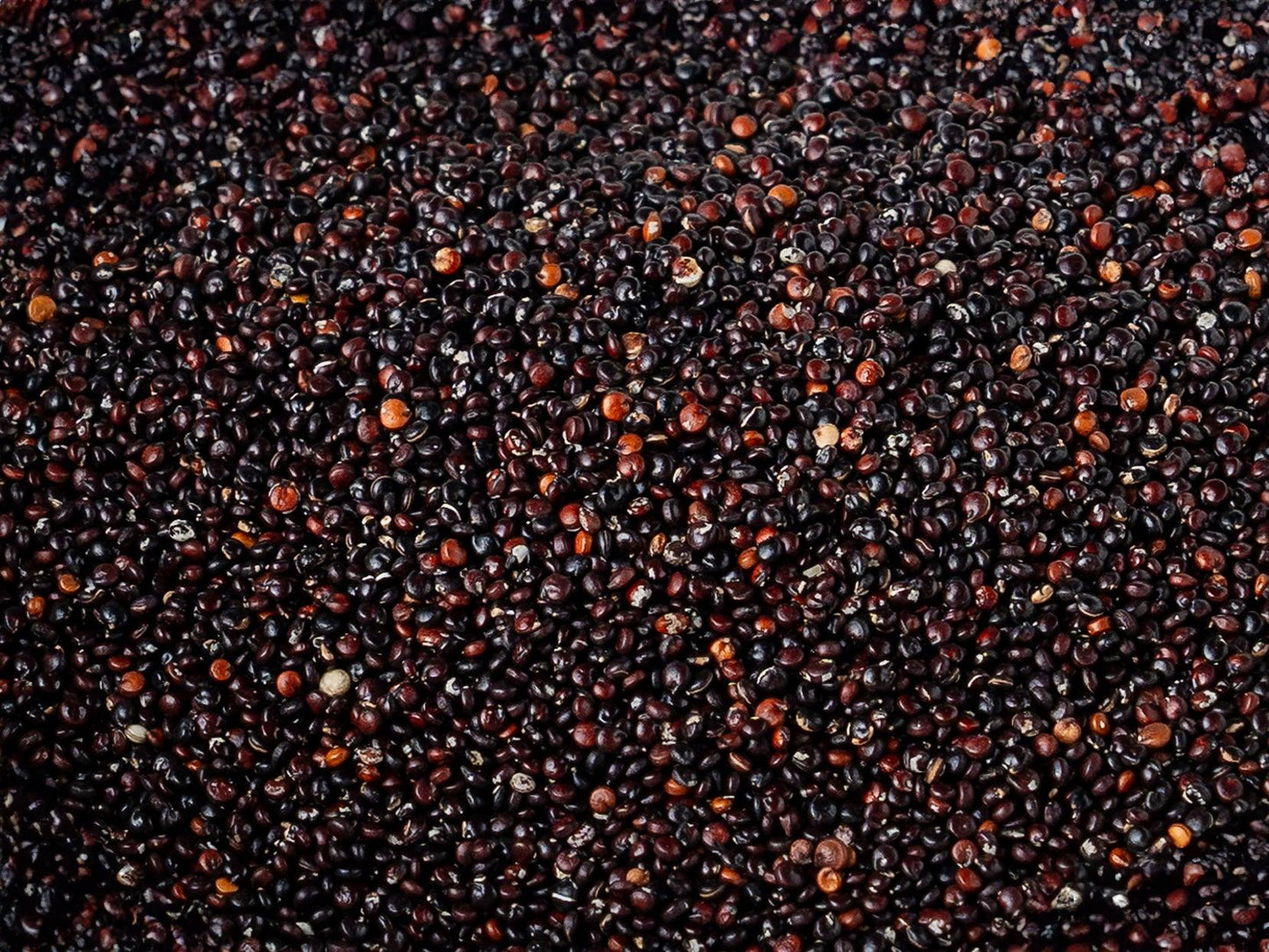 Sementes de Quinoa Pretas - Casca Rija