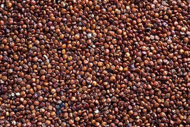 Sementes de Quinoa Vermelhas - Casca Rija