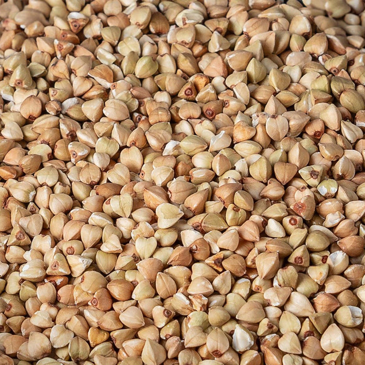 Semi di grano saraceno decorticati