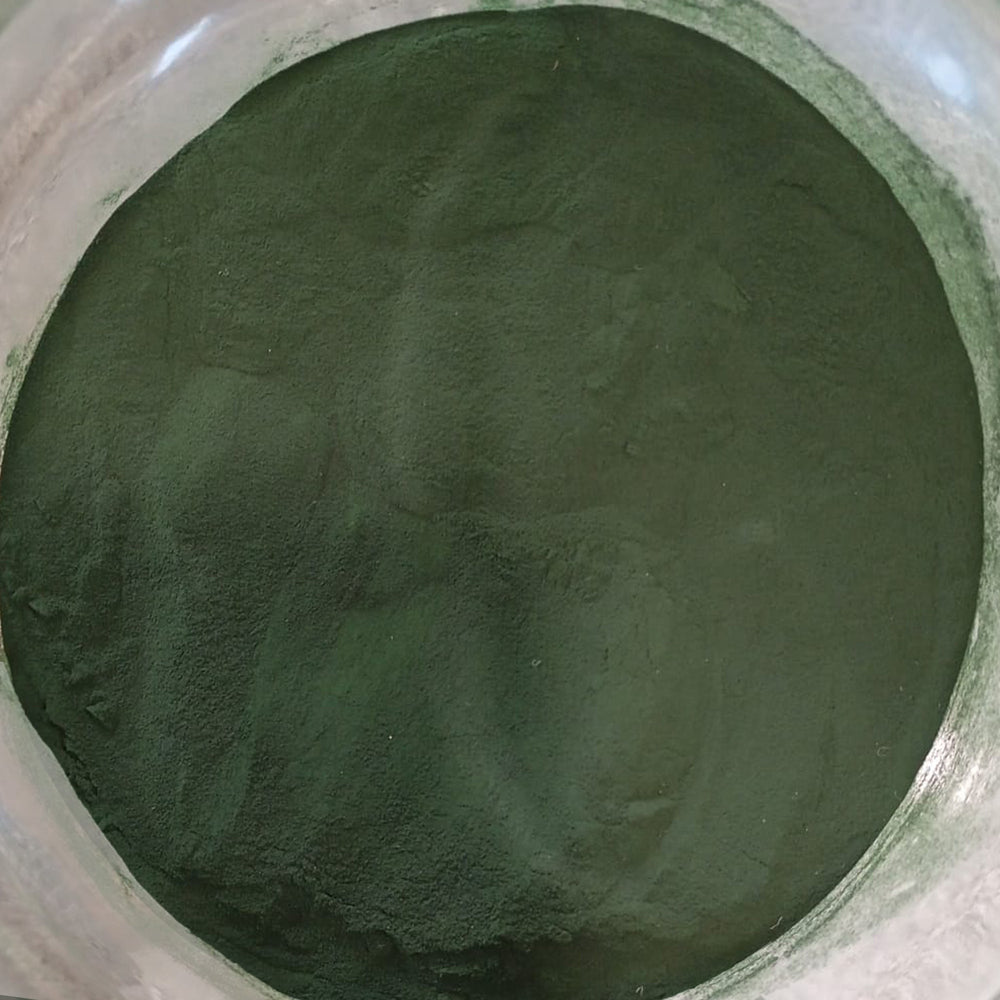 Spirulina em Pó Biológica